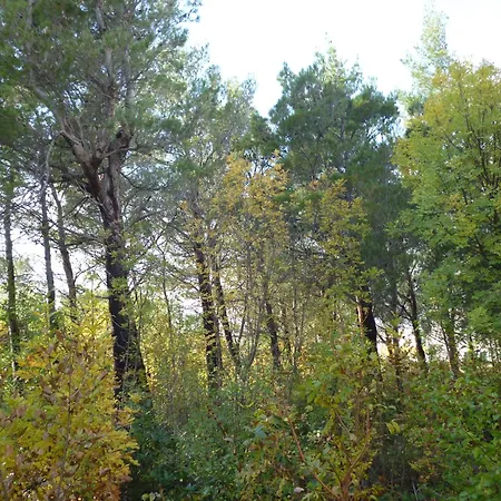 Studio Jasna * Starigrad Paklenica